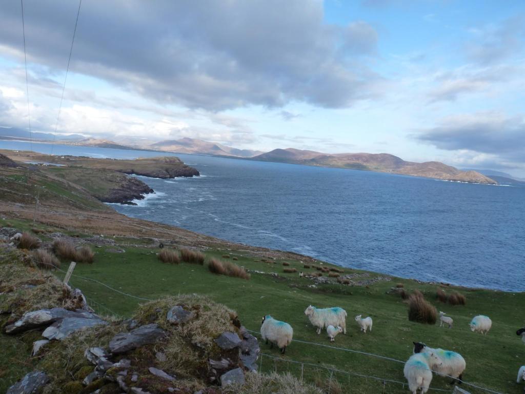 Skellig Cottages Ballinskelligs Exteriör bild